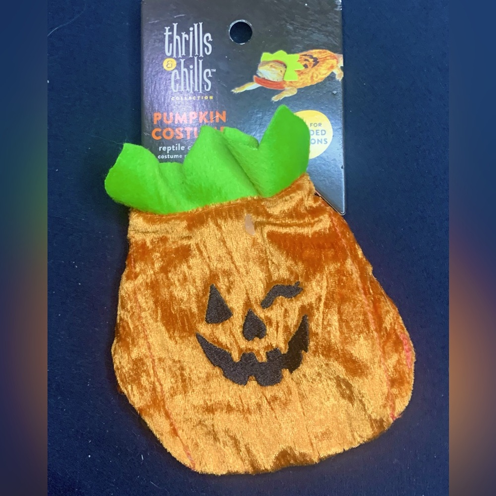 Pet Costume